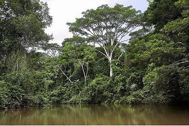 《冲就完事模拟器》月末开放古墓丽影劳拉祖屋地图